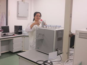 人員隊(duì)伍 公共技術(shù)服務(wù)中心