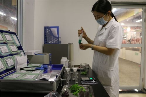 精誠致遠檢測技術(shù)服務(wù) 圖 農(nóng)殘檢測報告 博羅檢測報告