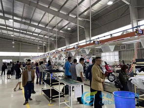 電動車行業(yè)首家獨資海外工廠成立,雅迪助推中國制造走向世界